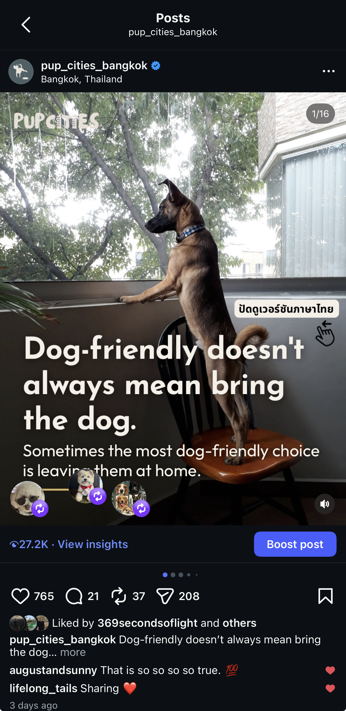 Dog-friendly Instagram post