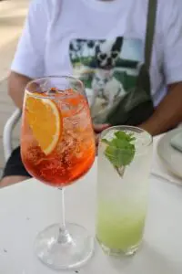 the standard hua hin dog friendly