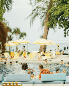 the Standard Hua Hin dog-friendly