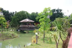 Phutara dog-friendly Thailand