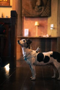 IMG_0481_TIF-scaled