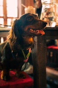 IMG_0491_TIF-scaled