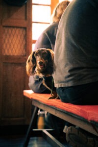 IMG_0499_TIF-scaled