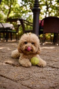 IMG_3363-2-scaled