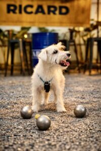 IMG_3370-2-scaled