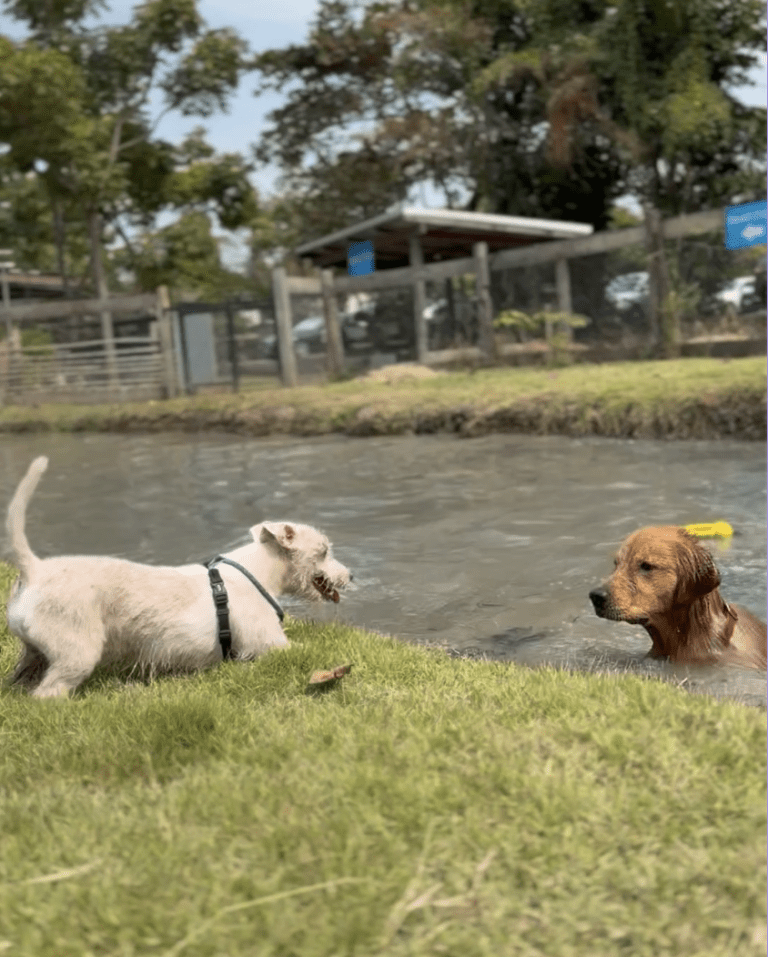 Screenshot-2026-03-12-at-12.30.35-PM