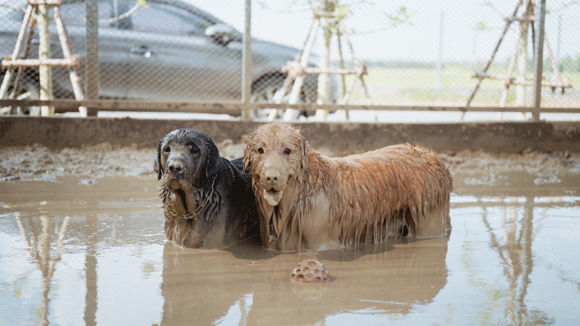 656884885_122154286736820233_5579890912223068014_n