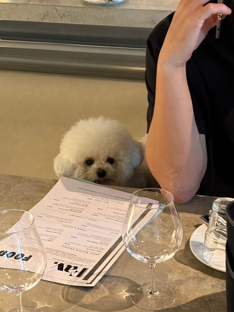 97C10373-C4E0-420B-9C43-D3256C805211