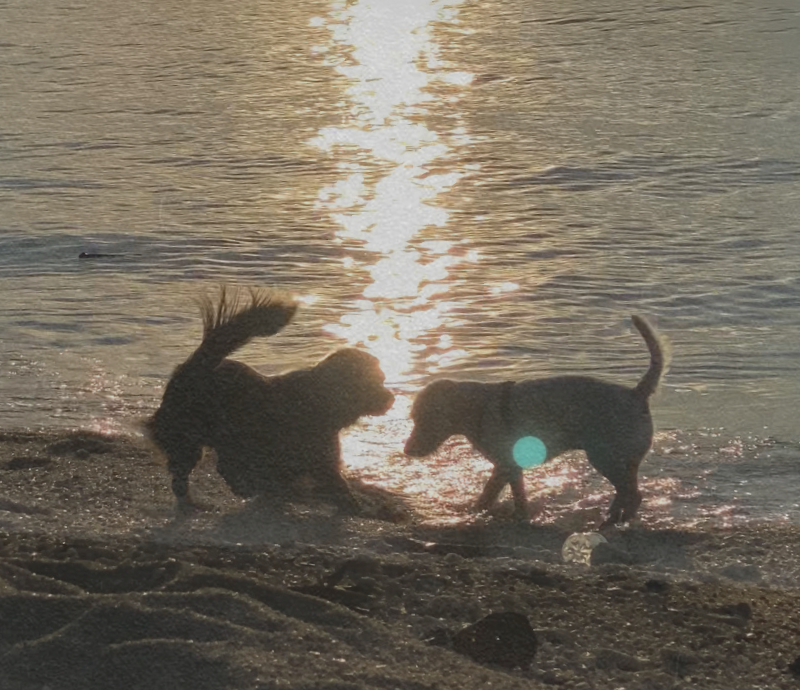 Koh-Phangan-Complete-guide-1-e1776327536482