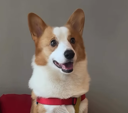 Screenshot 2026-04-02 153031