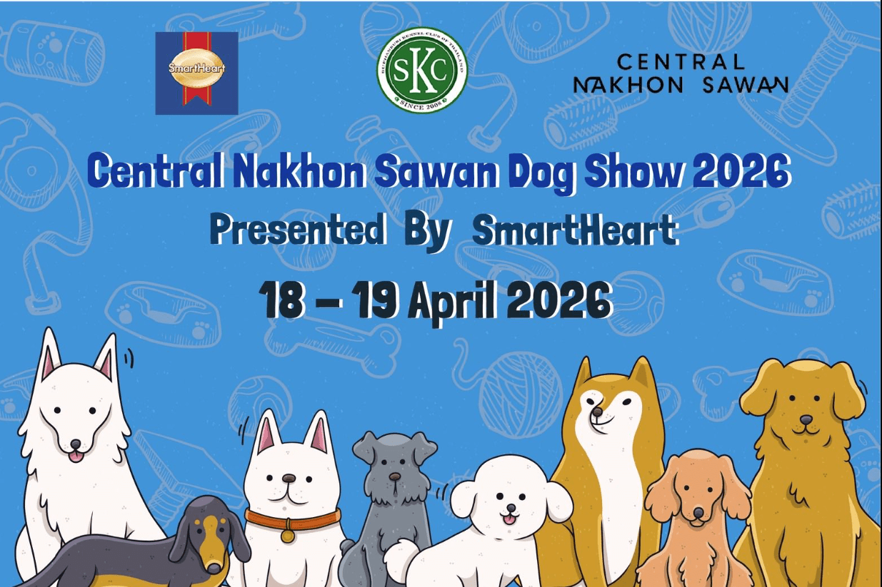 Screenshot 2026-04-07 092002