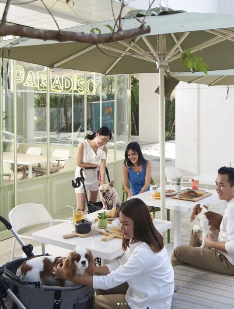 Brunch Paradiso Dog Friendly