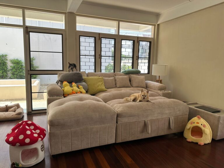 WhatsApp-Image-2026-04-07-at-10.23.32-AM