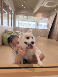 Caregiver with dog at Cozy Tails Pet Hotel, Bangkok