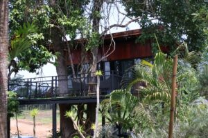 Phutara dog-friendly Thailand