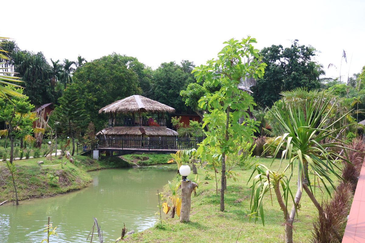 Phutara dog-friendly Thailand