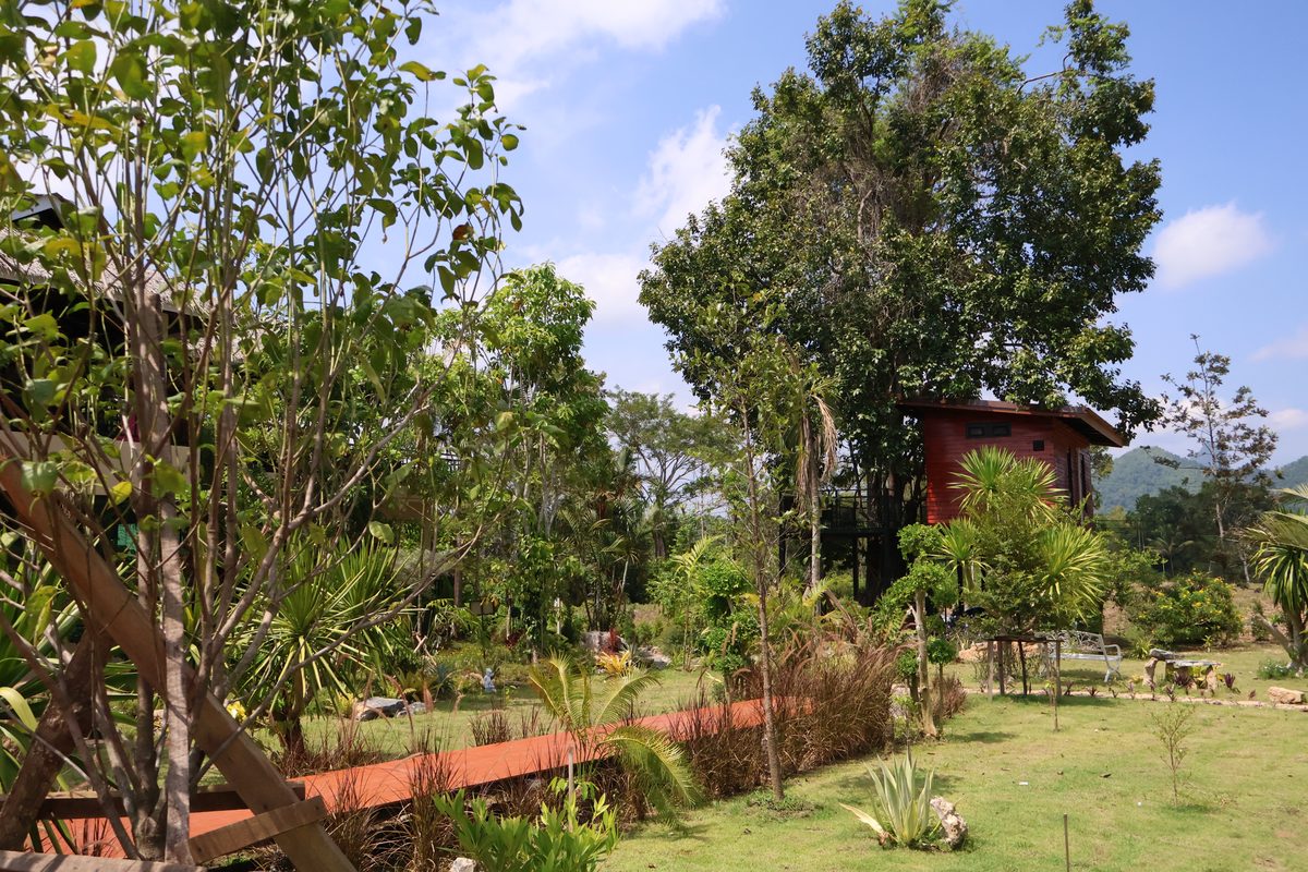 บ้านต้นไม้ของภูธาราที่มีเทือกเขาหินปูนเป็นฉากหลัง สุราษฎร์ธานี