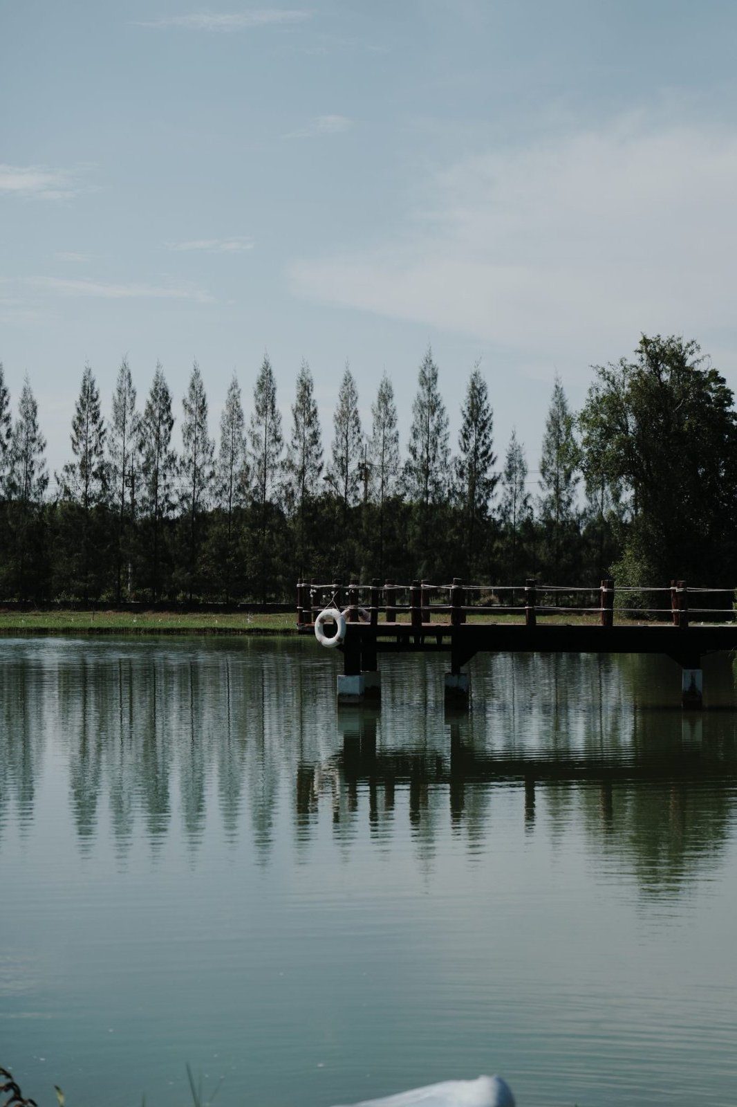 The gardens and pond at dog-friendly Hug Valley Cafe near Bangkok, Phetchaburi