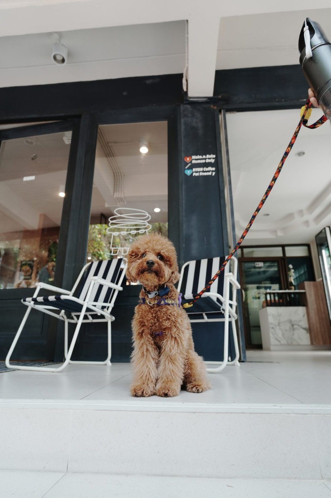 Zui at dog-friendly BYON Coffee Bar, Hat Chao Samran, Phetchaburi