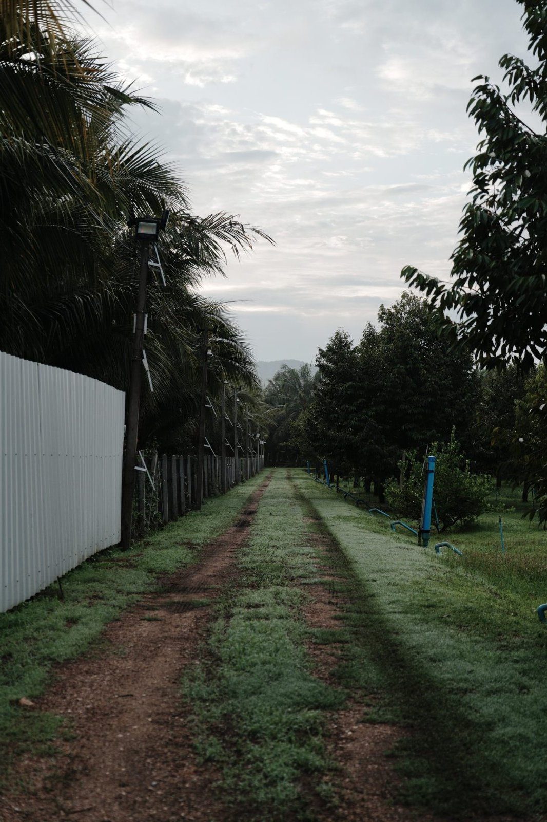 Pet-friendly J&S Farmstay riverside grounds, Kaeng Krachan