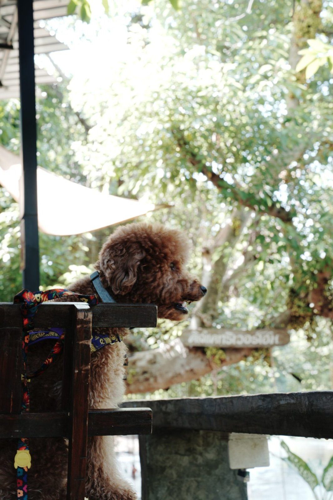 Zui at Kissa Cafe by the river